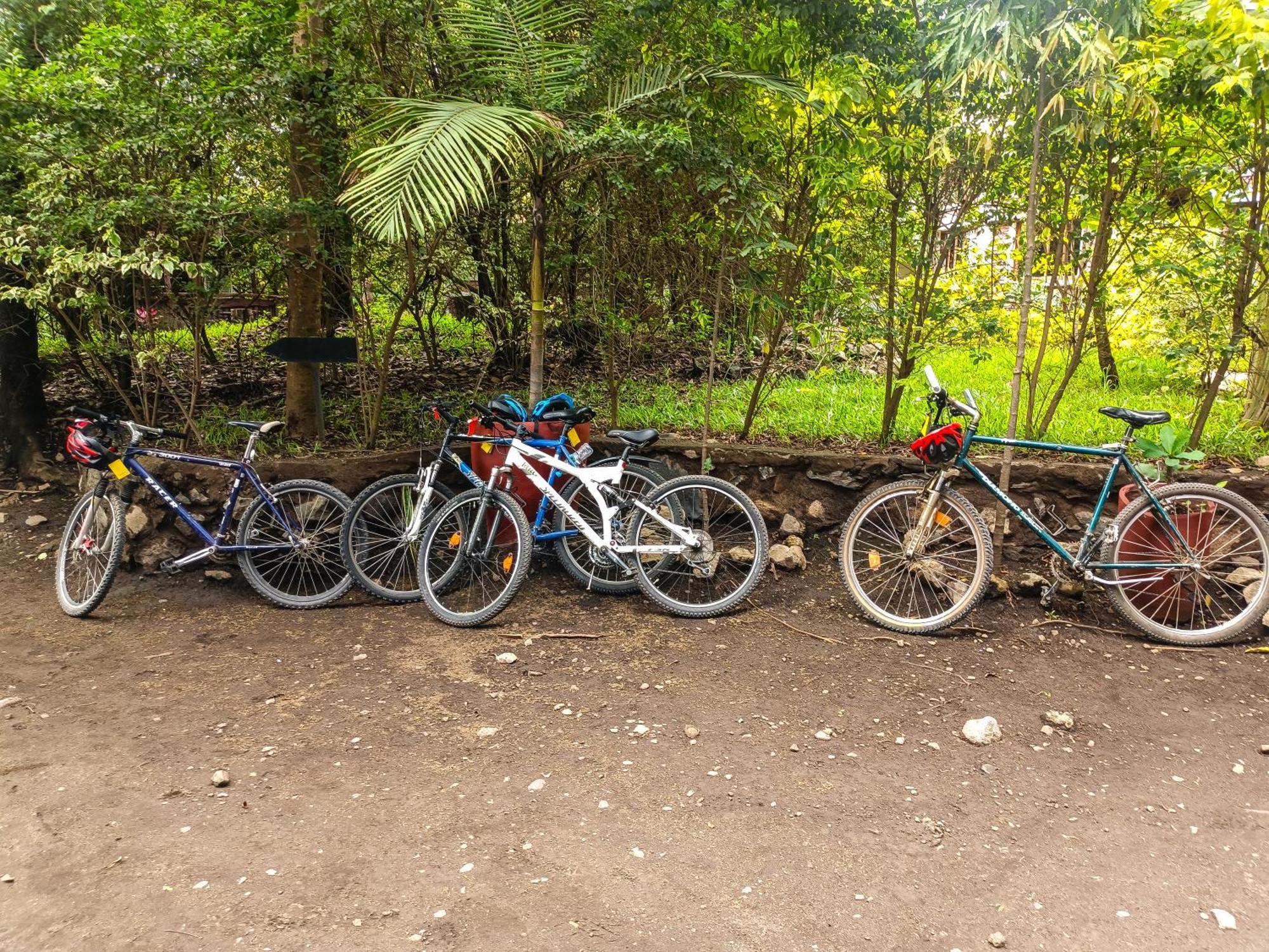 Shamba Hostel Usa River Exterior photo