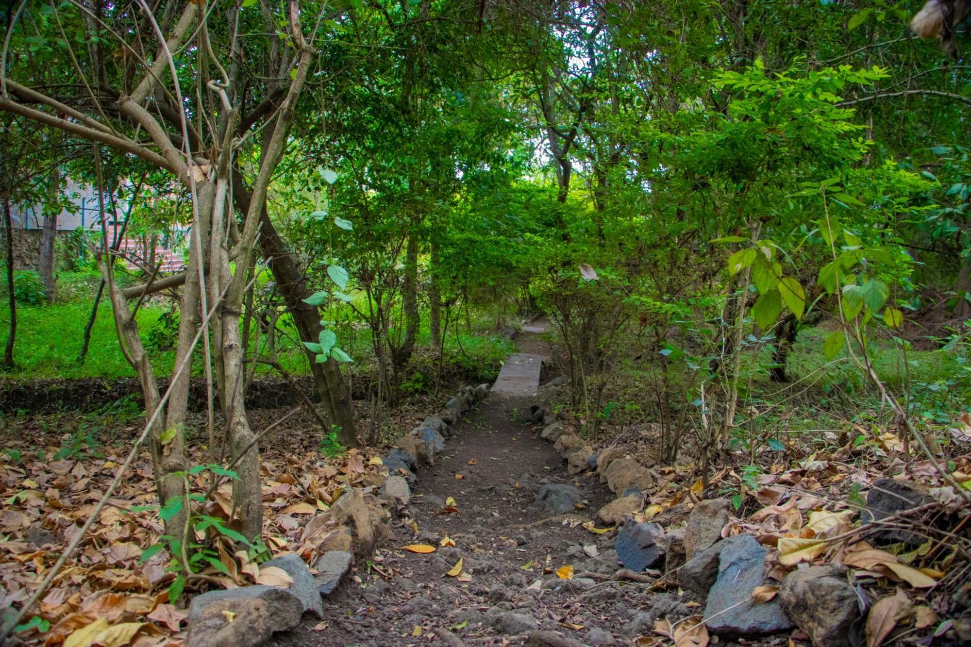 Shamba Hostel Usa River Exterior photo