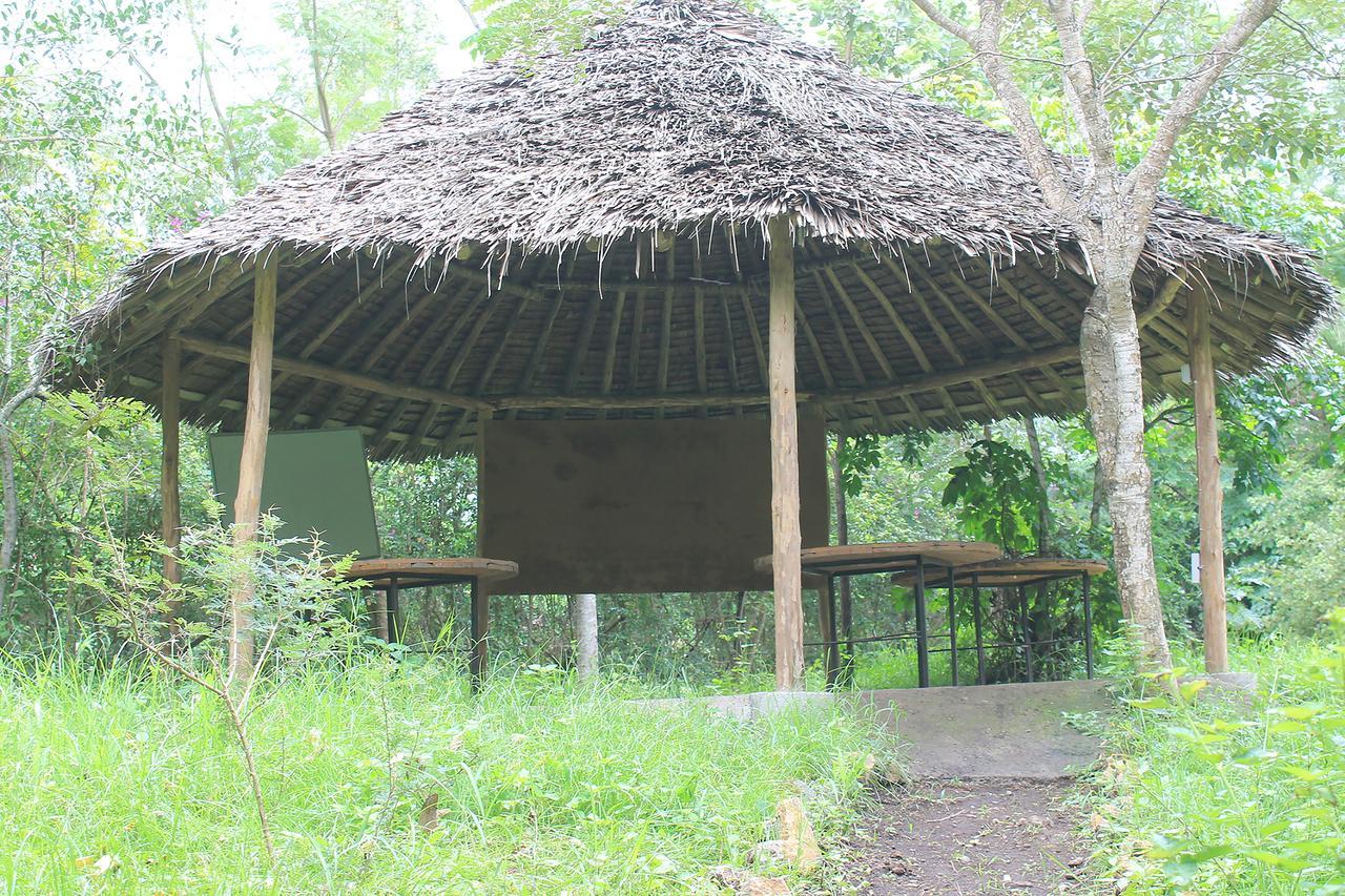 Shamba Hostel Usa River Exterior photo