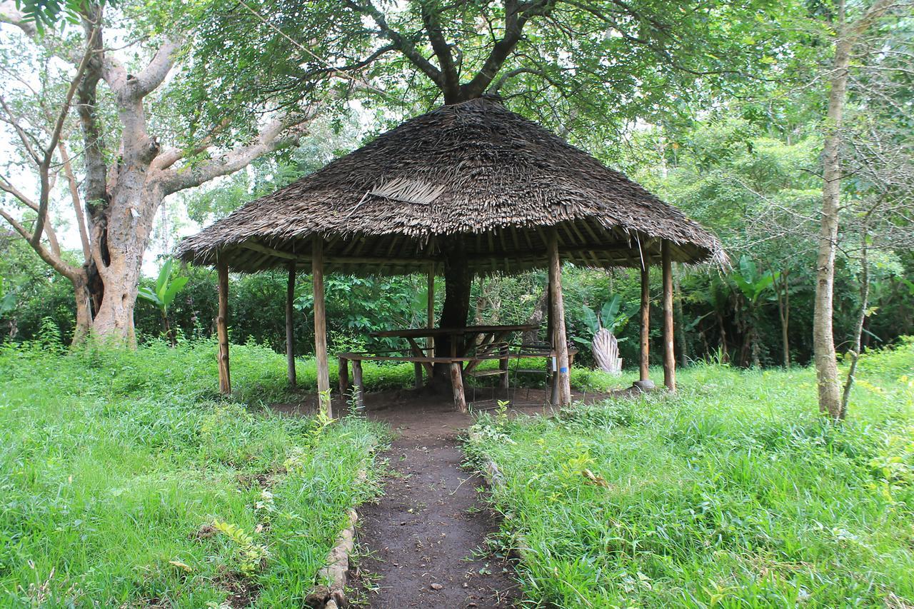 Shamba Hostel Usa River Exterior photo